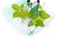 Toothbrush with toothpaste and fresh leaves of mint Royalty Free Stock Photo