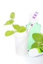 Toothbrush with toothpaste and fresh leaves of mint Royalty Free Stock Photo