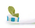 Toothbrush with toothpaste and fresh leaves of mint Royalty Free Stock Photo