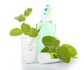 Toothbrush with toothpaste and fresh leaves of mint Royalty Free Stock Photo