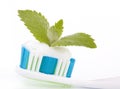 Toothbrush with toothpaste and fresh leaves of mint Royalty Free Stock Photo