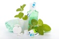 Toothbrush with toothpaste and fresh leaves of mint Royalty Free Stock Photo