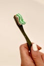 Toothbrush with toothpaste in the girl`s hand