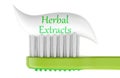 Toothbrush with toothpaste with Herbal Extracts. 3D rendering Royalty Free Stock Photo