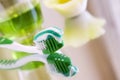 Toothbrush with toothpaste and rinsing liquid