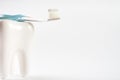 Toothbrush with toothpaste on white healthy ceramic tooth Royalty Free Stock Photo