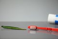 Toothbrush tube of toothpaste with green leaves on the table Royalty Free Stock Photo