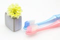 Toothbrush in a white background Royalty Free Stock Photo
