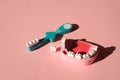 A toothbrush and a wooden toy model of a jaw with one lost tooth Royalty Free Stock Photo
