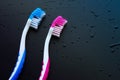 Toothbrushes on a black background with water drops. Royalty Free Stock Photo