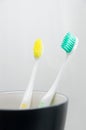 Toothbrushes in cup on white background Royalty Free Stock Photo