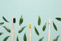 Toothbrushes and fresh leaves on pale turquoise background, flat lay