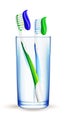 Toothbrushes in a glass