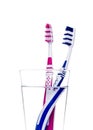 Toothbrushes in glass of water isolated on white Royalty Free Stock Photo