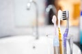 Toothbrushes are kept close together in the glasses,avoid keeping toothbrush heads close together,separate to safety,prevent the Royalty Free Stock Photo