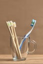 Toothbrushes, a plastic one and a set of three ecological made of bamboo