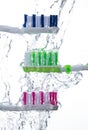 Toothbrushes under splashing water Royalty Free Stock Photo