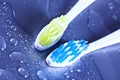 Toothbrushes on water drops Royalty Free Stock Photo