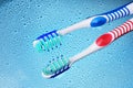 Toothbrushes Royalty Free Stock Photo