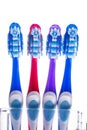 Toothbrushes on a white background Royalty Free Stock Photo