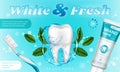Toothpaste with mint and toothbrush promo poster