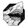 Cartoon toothy angry great white shark. Shark animal horror sketch.Black shark sticker illustration.Agressive white Royalty Free Stock Photo