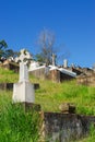 Toowong Cemetery Royalty Free Stock Photo