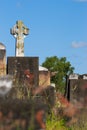 Toowong Cemetery Royalty Free Stock Photo