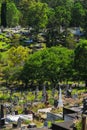 Toowong Cemetery Royalty Free Stock Photo
