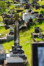 Toowong Cemetery Royalty Free Stock Photo