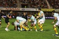 Top 14 rugby match USAP vs CA Brive