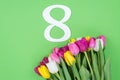 Top above close up overhead view photo of beautiful bouquet and number eight isolated green bright background