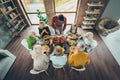 Top above high angle photo of big mature family celebrate october event thanksgiving day sit table enjoy meal corns Royalty Free Stock Photo