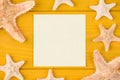 Top above overhead view close-up photo of blank sticker and starfish isolated on yellow wooden background with copyspace Royalty Free Stock Photo