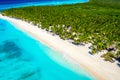 Top aerial drone view of beautiful beach with turquoise sea water and palm trees. Saona island, Dominican republic. Paradise