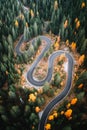Top aerial view of famous Snake road near Passo Giau in Dolomite Alps