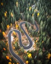 Top aerial view of famous Snake road near Passo Giau in Dolomite Alps
