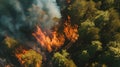 Top aerial view of forest fire burning green trees with a lot of dense smoke. The flames burning the green forest to the Royalty Free Stock Photo