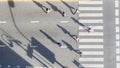 Top aerial view of group people walk at street city with pedestrian crosswalk in transport traffic road with sunlight and shadow Royalty Free Stock Photo