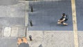 the top aerial view of people walk on the city pedestrian walkway street building