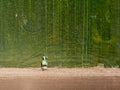 Top aerial view of the tractor spraying the chemicals on the green field of grain. Agriculture composition with copy space Royalty Free Stock Photo