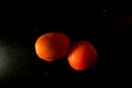 Top angle shot of two full ripe red tomatoes Royalty Free Stock Photo