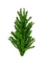 Top of artificial Christmas tree on white background Royalty Free Stock Photo