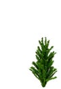 Top of artificial Christmas tree on white background Royalty Free Stock Photo
