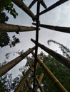 The top of the bamboo gate