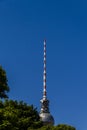 Top of the berlin television tower hidden behinde some tree crow Royalty Free Stock Photo