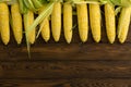 Top border of fresh peeled organic corn on the cob