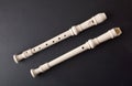 Top and bottom view of white recorder on black background Royalty Free Stock Photo