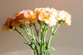 Top of a bouquet of carnations in a vase in the morning light