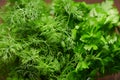 A top of a bunch of green dill and parsley, dark wooden background, concept of fresh vegetables and healthy food